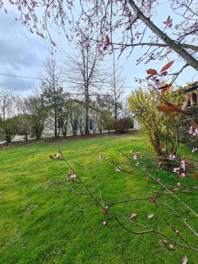 הוילה Saint-Pierre-du-Chemin Le Terrier Maison De Campagne 250 M2 Grande Capacite 20 Couchages, 4500M2 De Terrain מראה חיצוני תמונה