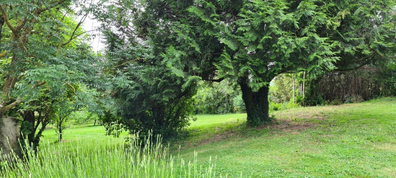 הוילה Saint-Pierre-du-Chemin Le Terrier Maison De Campagne 250 M2 Grande Capacite 20 Couchages, 4500M2 De Terrain מראה חיצוני תמונה